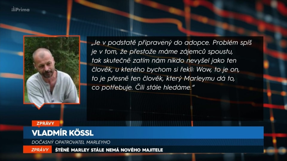 11. 6. 2018 ZPRÁVY: ŠTĚNĚ MARLEY STÁLE NEMÁ NOVÉHO MAJITELE